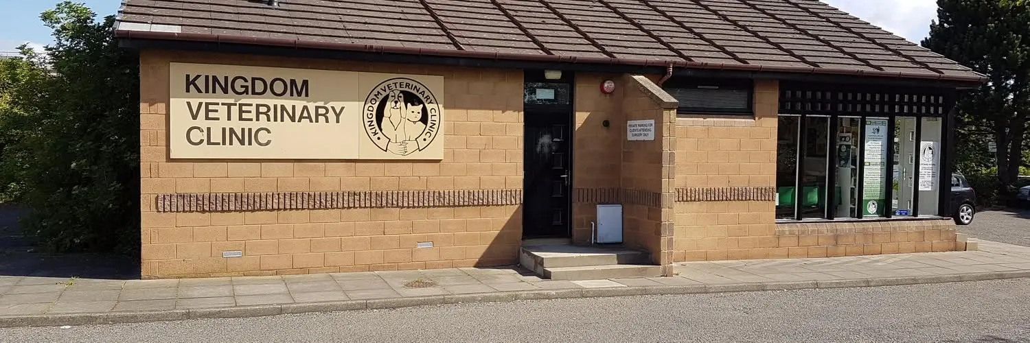 Kingdom Veterinary Clinic practice photo