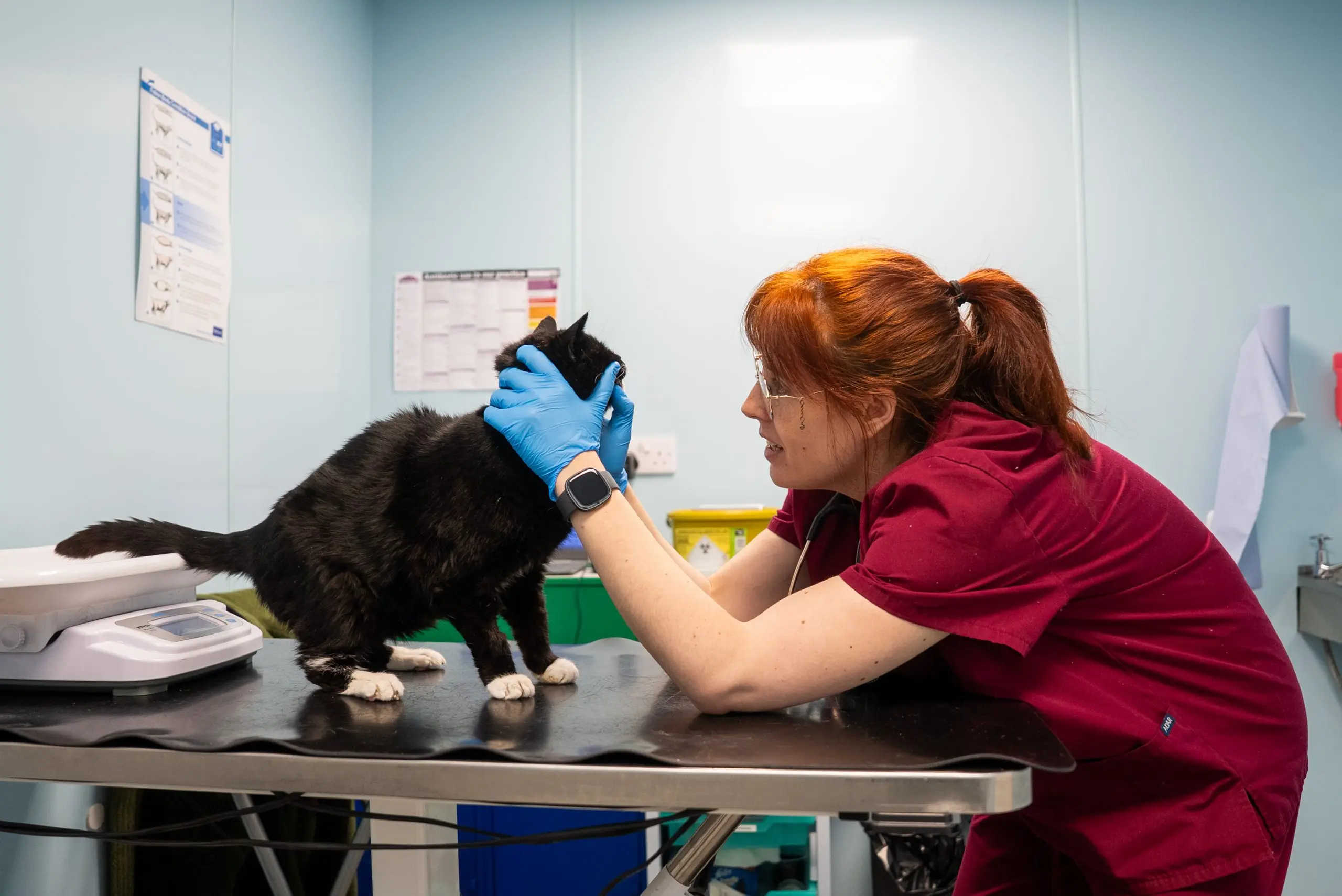 Wishing Well Veterinary Centre practice photo