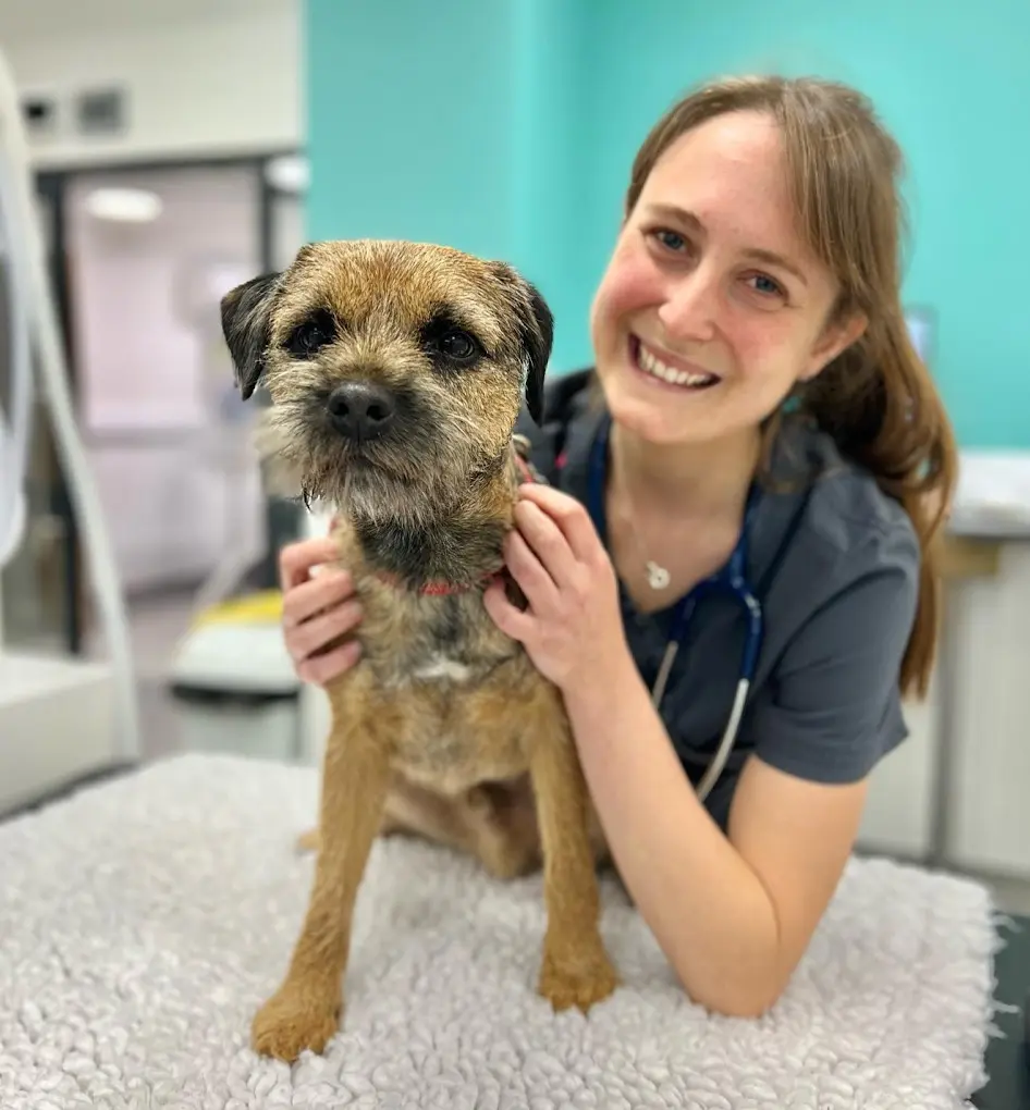 PetPeople Vets - East Sheen Google Places photo 4 (Photo: PetPeople Vets - East Sheen)