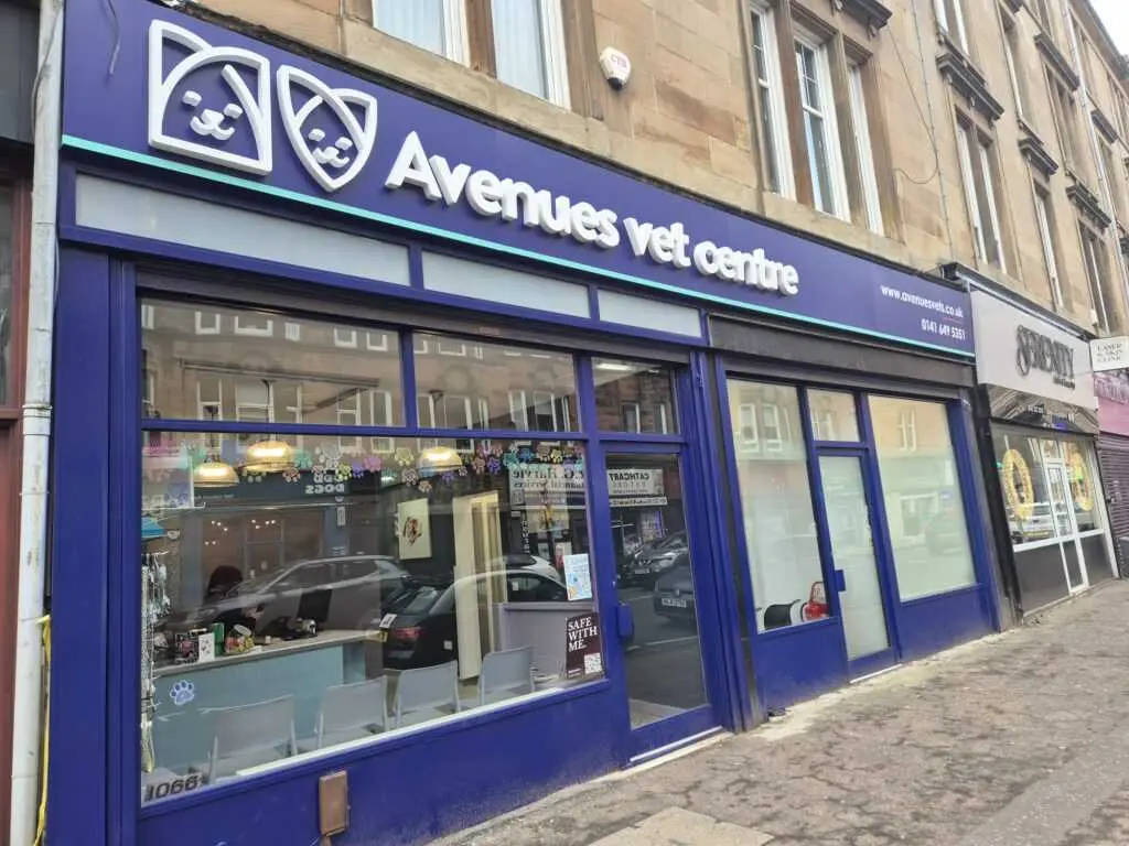 Avenues Veterinary Centre - Mount Florida practice photo