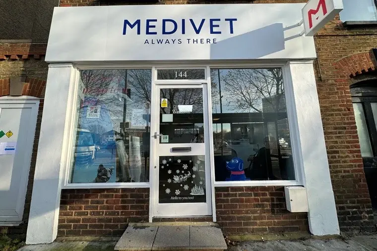 Medivet - Gravesend practice photo