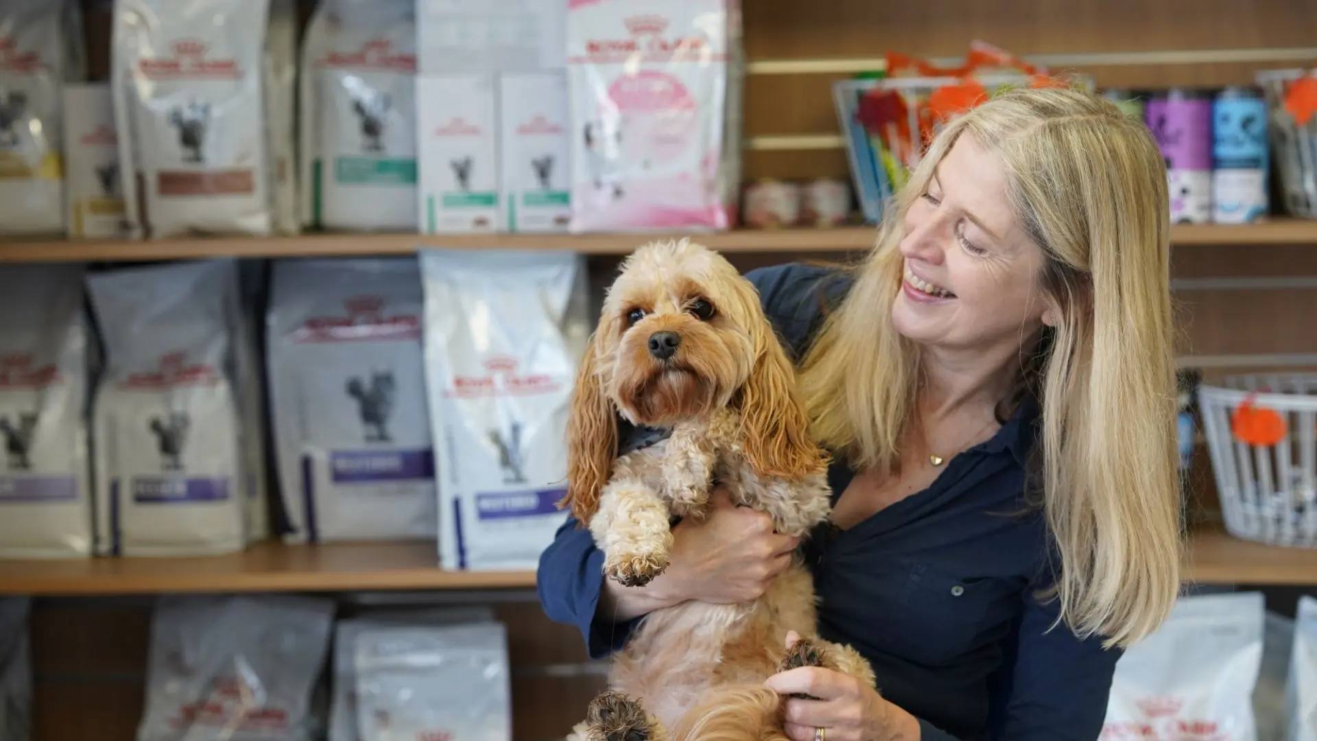 Weybridge Vets practice photo