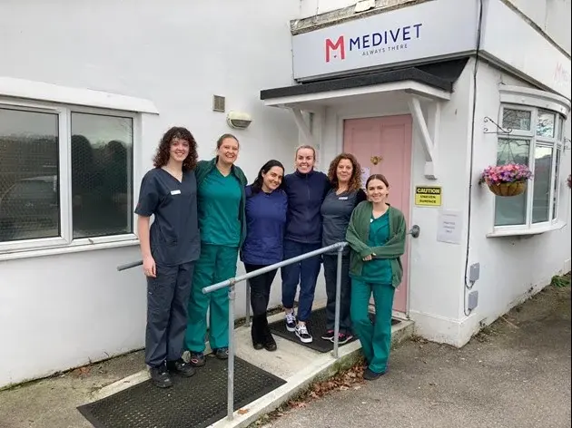 Medivet - Brockham practice photo