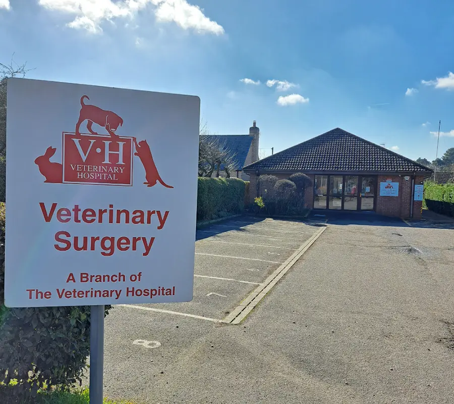 The Veterinary Hospital - Skellingthorpe practice photo 2