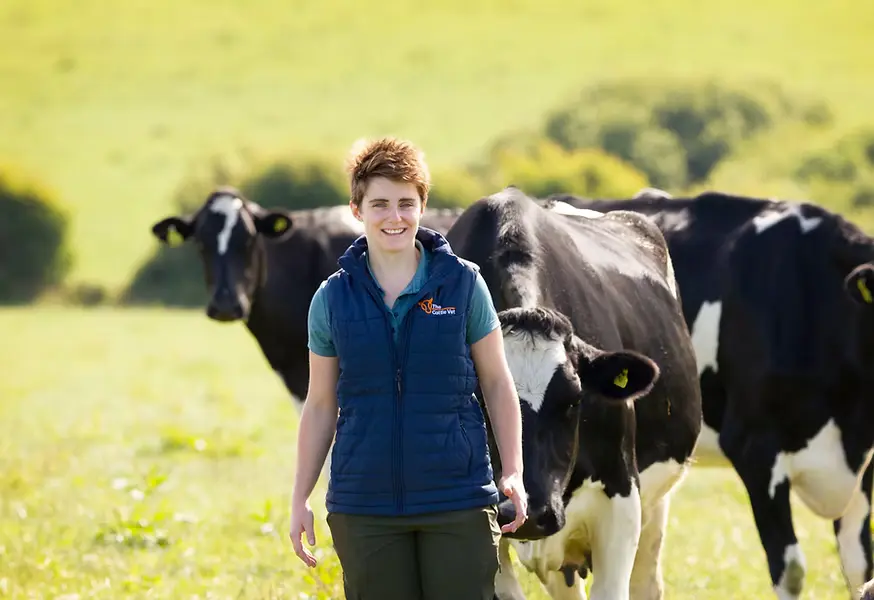 The Cattle Vet practice photo