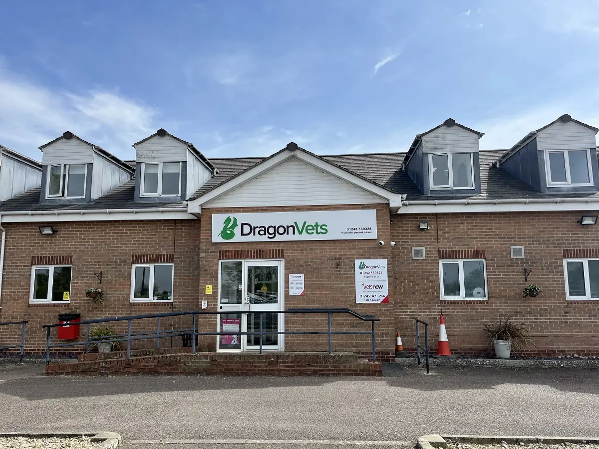 Exterior view of the Vets Now partner clinic at Dragon Vets in Cheltenham, showing full building frontage