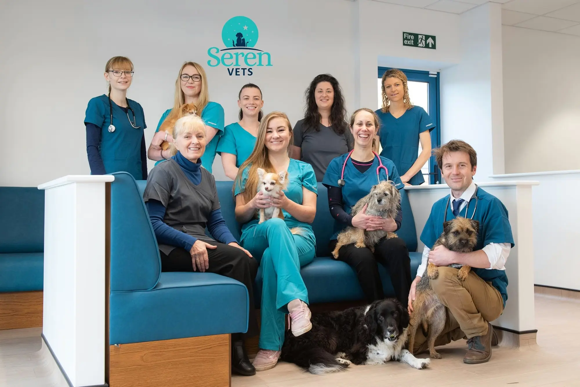Seren Vets practice photo 2