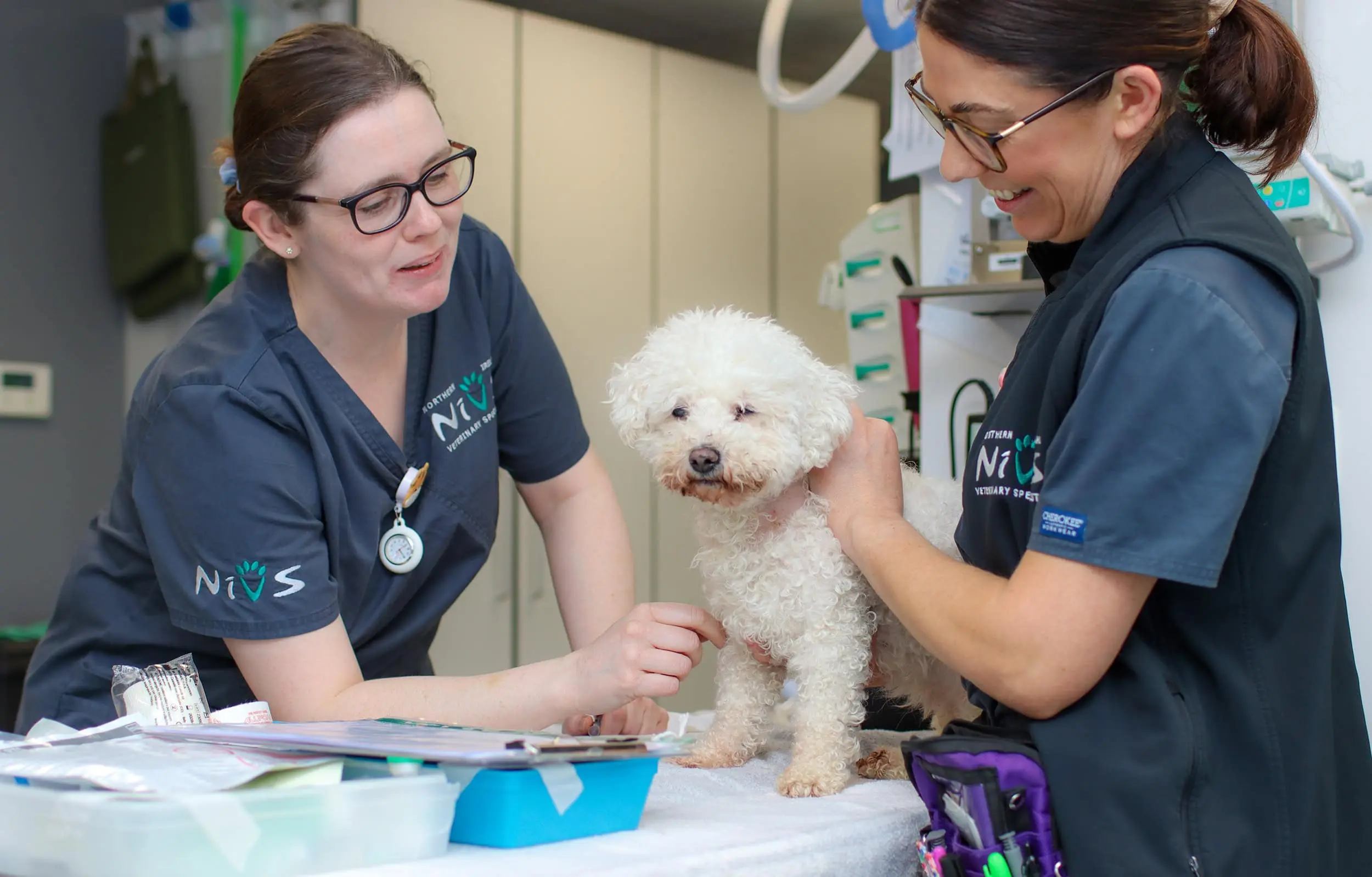 Northern Ireland Veterinary Specialists practice photo 2