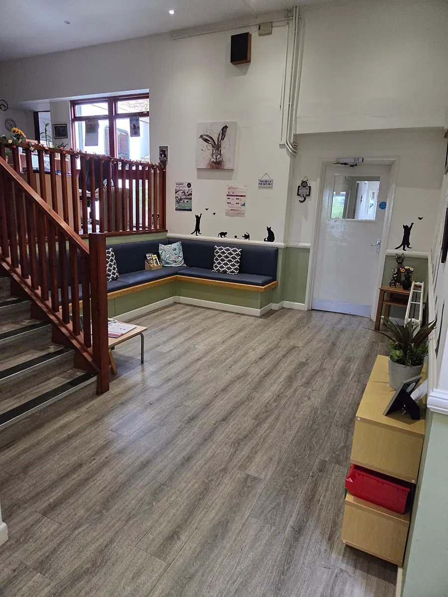 Crescent Vet Centre practice photo