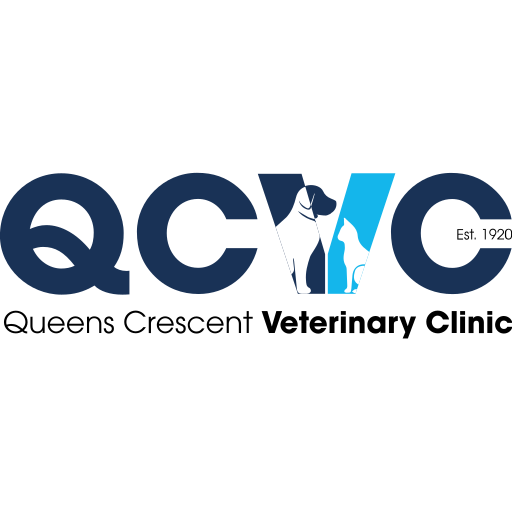 Queen's Crescent Veterinary Clinic logo