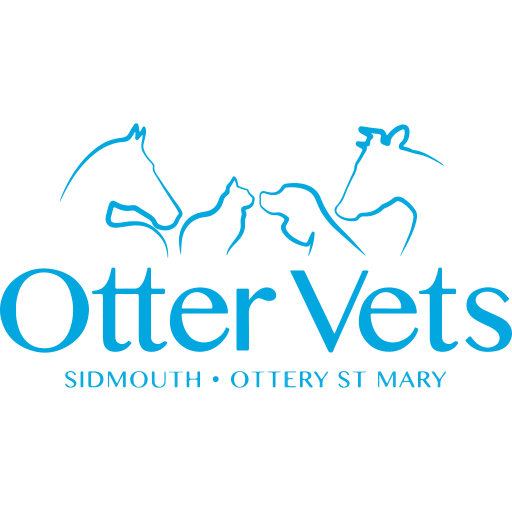 Otter Vets - Ottery St Mary logo