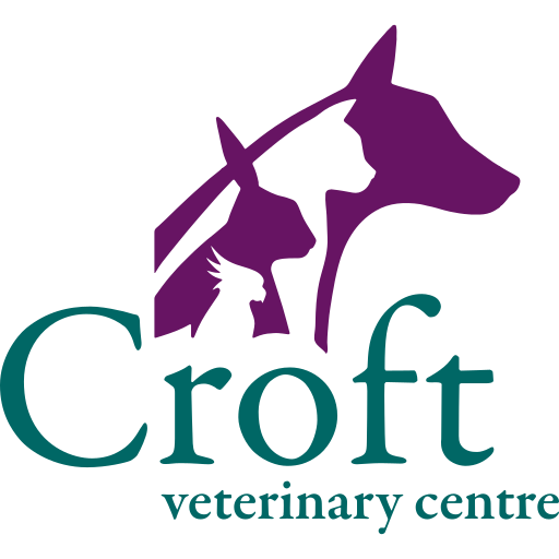 Croft Veterinary Centre logo