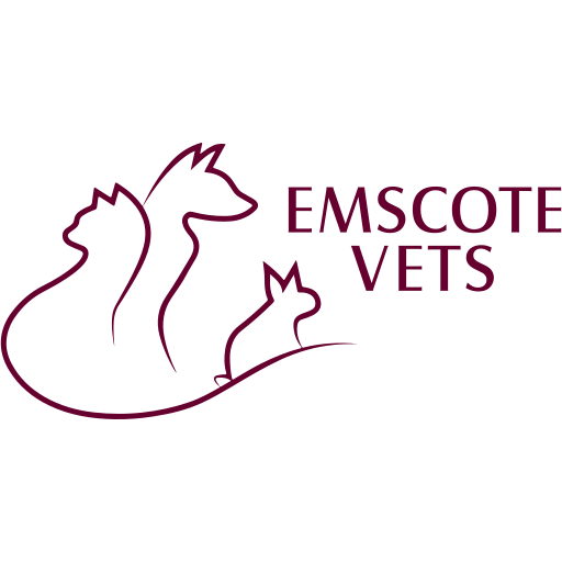Emscote Vets logo