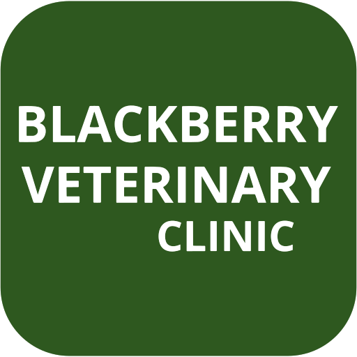 Blackberry Veterinary Clinic logo