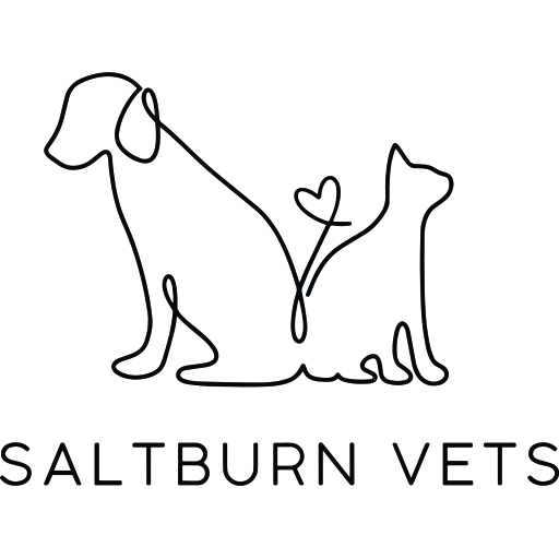 Saltburn Vets logo