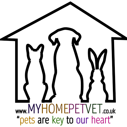 My Home Pet Vet logo