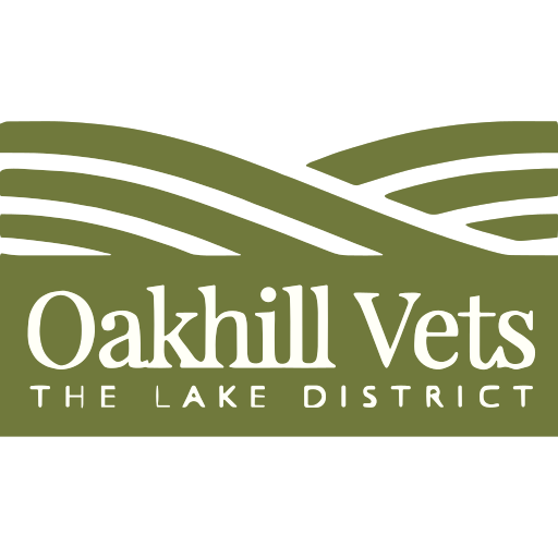 Oakhill Veterinary Group - Ambleside logo