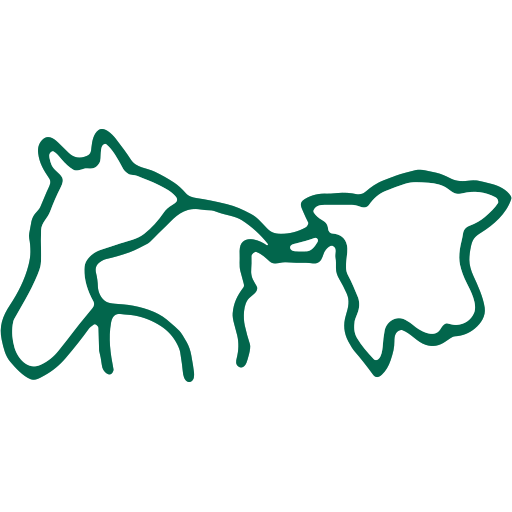 Badgers Oak Veterinary Clinic logo