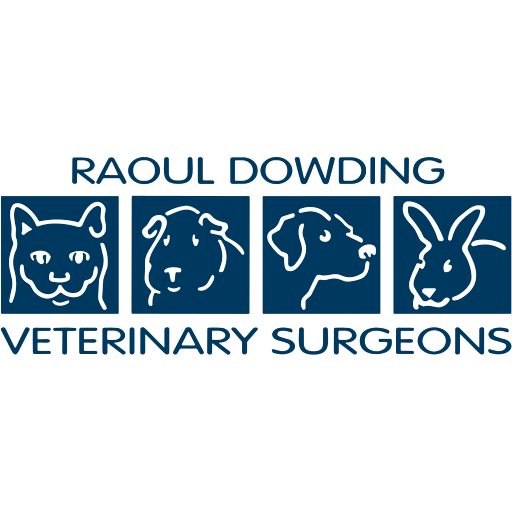 Dowding Vets - Bawtry logo