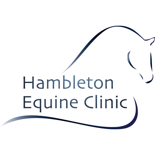 Hambleton Equine Clinic logo