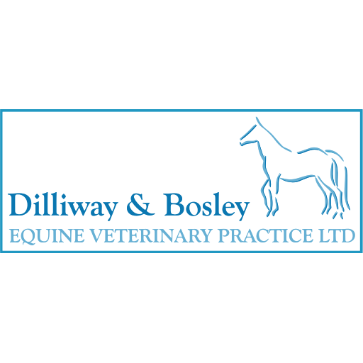 DB Equine Vets logo