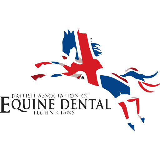Sally Kingsley Equine Dentistry logo