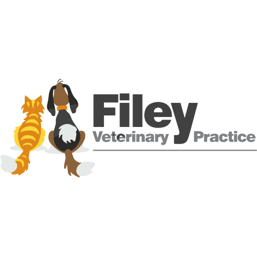 Filey Veterinary Practice logo