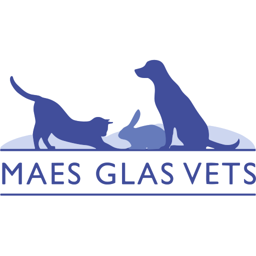 Maesglas Vets - Cowbridge logo