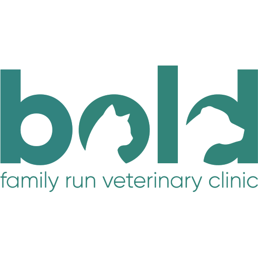Bold Vets logo