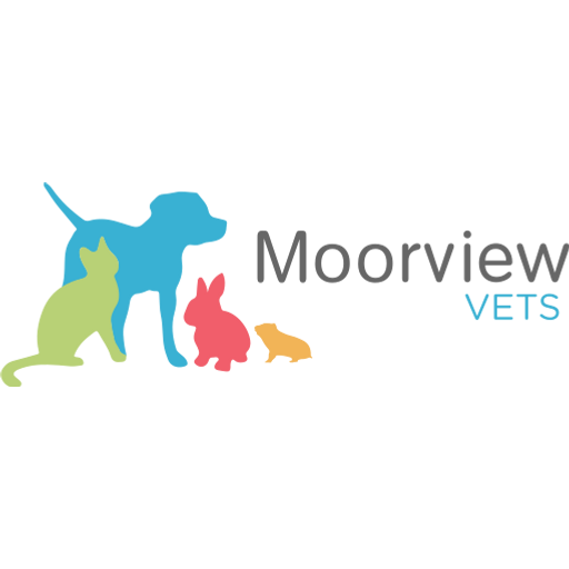 Moorview Vets - Gosforth logo