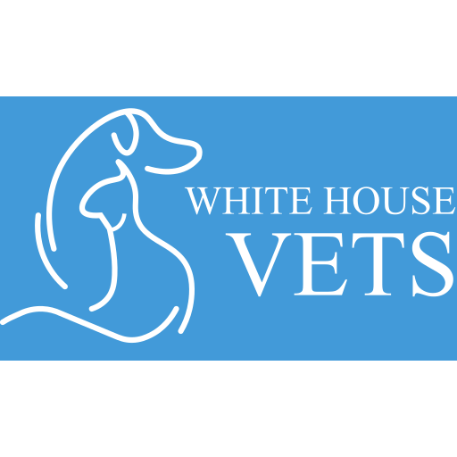 White House Vets logo