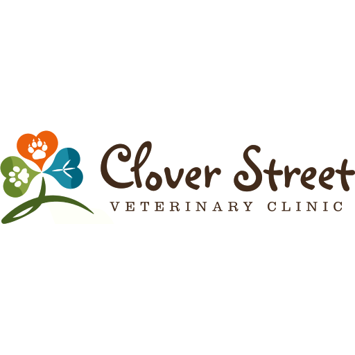 Clover Street Vets logo