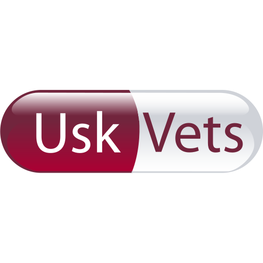 Usk Vets - Usk logo
