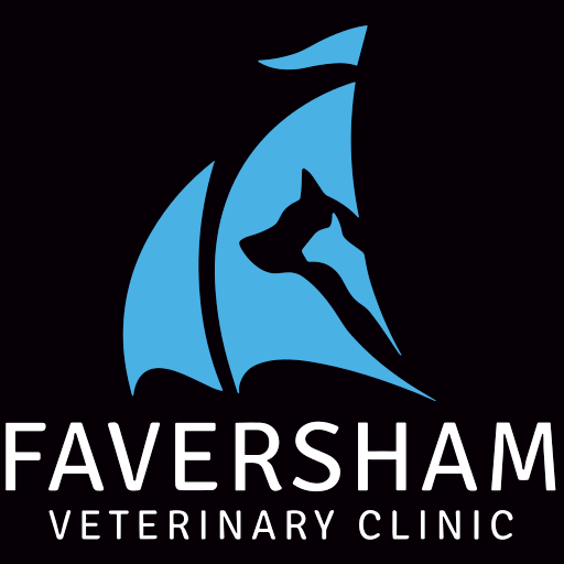 Faversham Vets logo