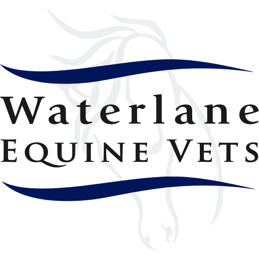 Waterlane Equine Vets logo