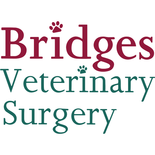 Bridges Veterinary Surgery logo