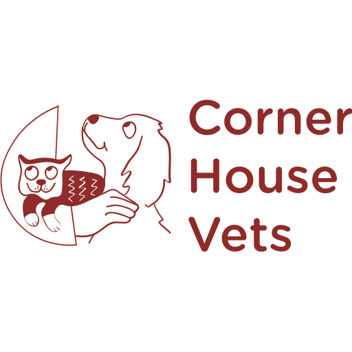 Corner House Vets - Exmouth logo