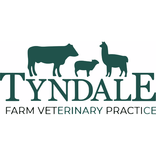 Tyndale Vets logo