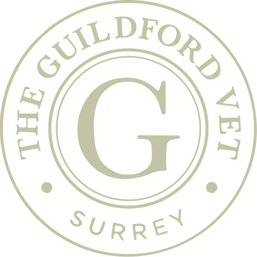 The Guildford Vet logo
