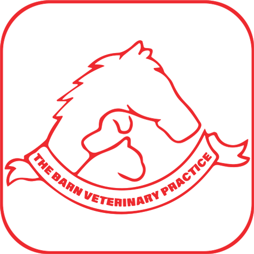 Barn Vets - Ashcroft Road logo