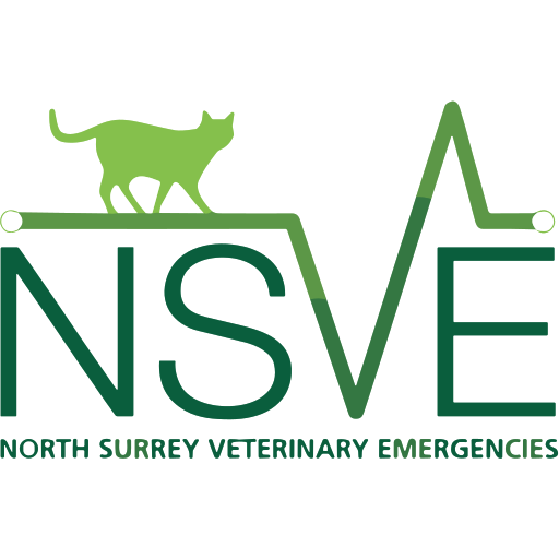 North Surrey Emergency Vets logo