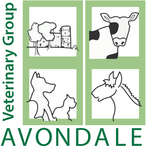 Avondale Vets logo