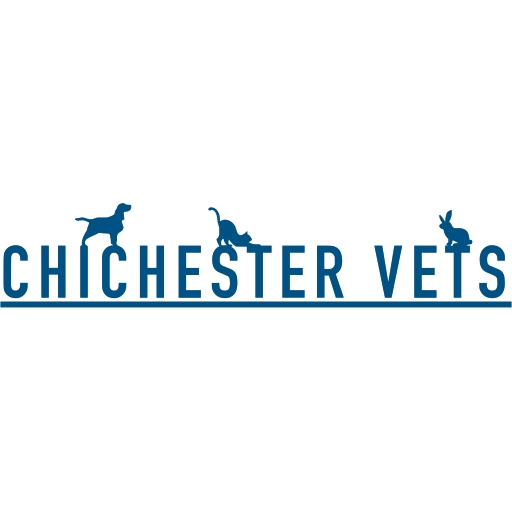 Chichester Vets logo
