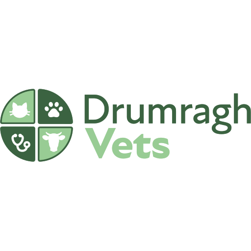 Drumragh Vets logo