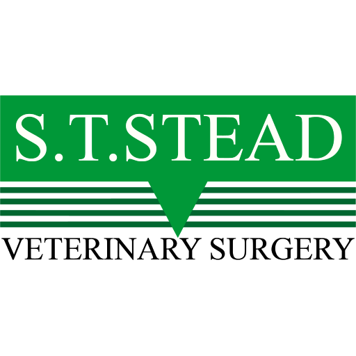 ST Stead Vets logo