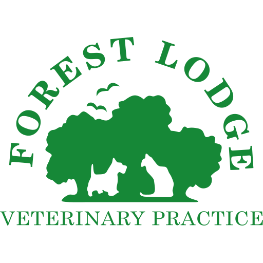 Forest Lodge Vets - Lymington logo