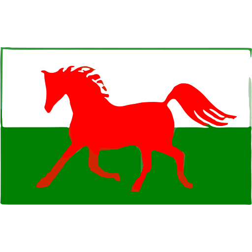 Dyffryn Tywi Equine Clinic logo