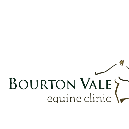 Bourton Vale Equine logo