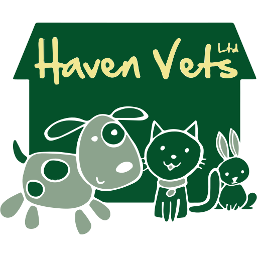 Haven Veterinary Group - Ammanford logo