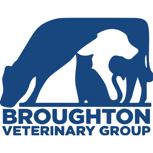 Broughton Veterinary Group - Broughton Astley logo